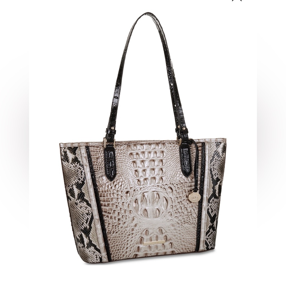 EUC! Brahmin Asher Tote